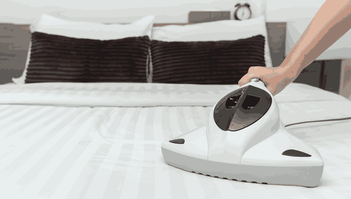 Professional Mattress Cleaning Mambourin